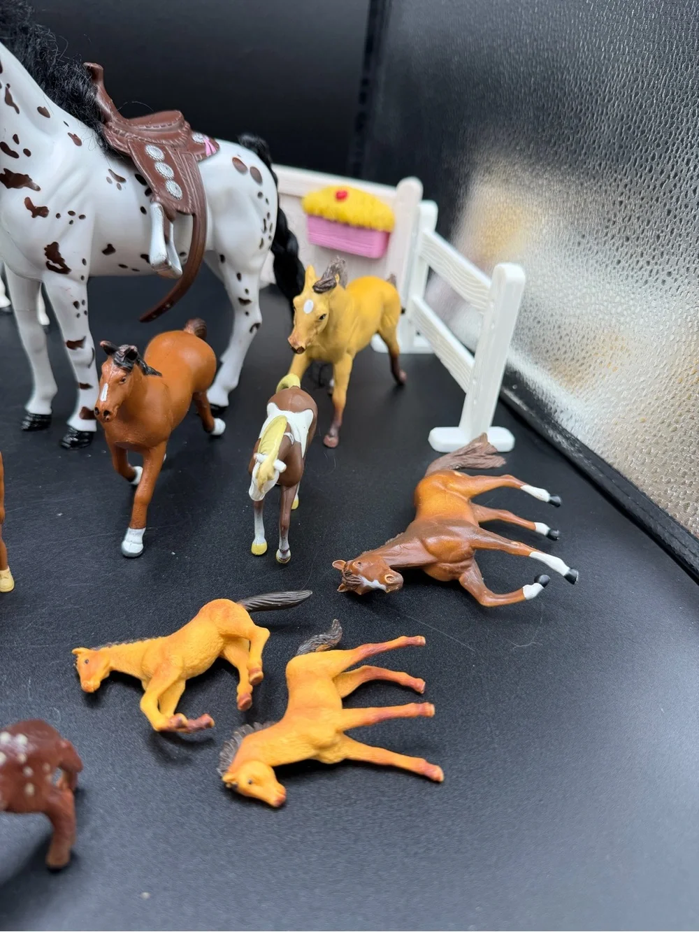 N/A animals lot